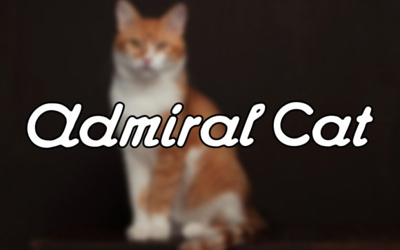 Admiral Cat: Why This Vintage Handwritten Font is Making a Comeback in Modern Design