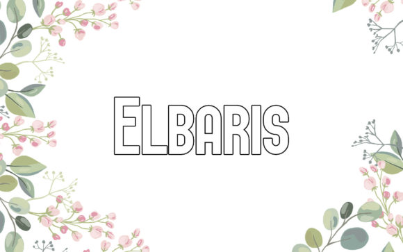 Elbaris: The Minimalist Sans Serif for Modern Designers