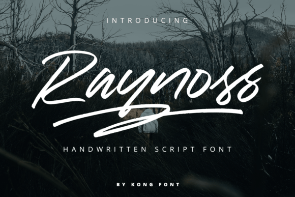 Raynoss: A Playful Handwritten Font for Creative Projects